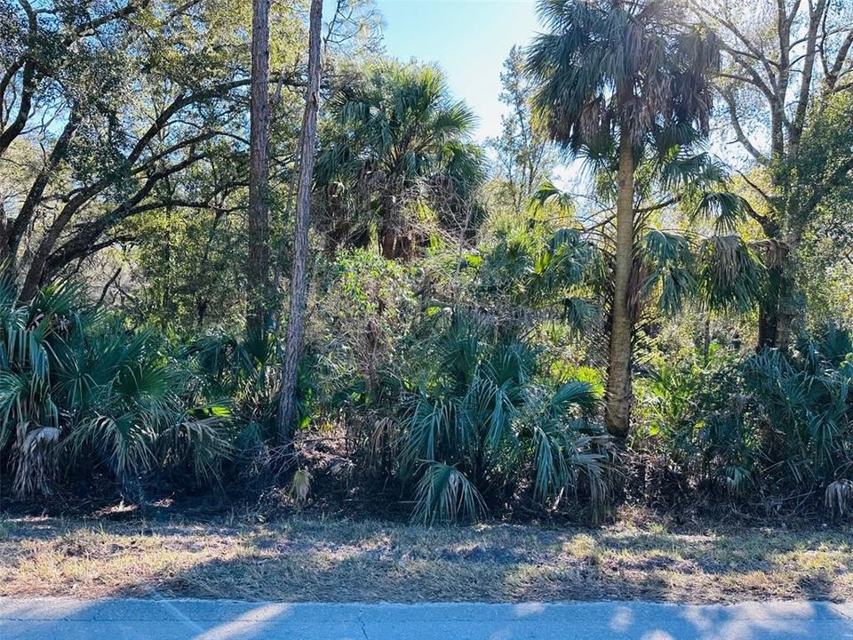 На продажу: $125,000 (10.00 acres)