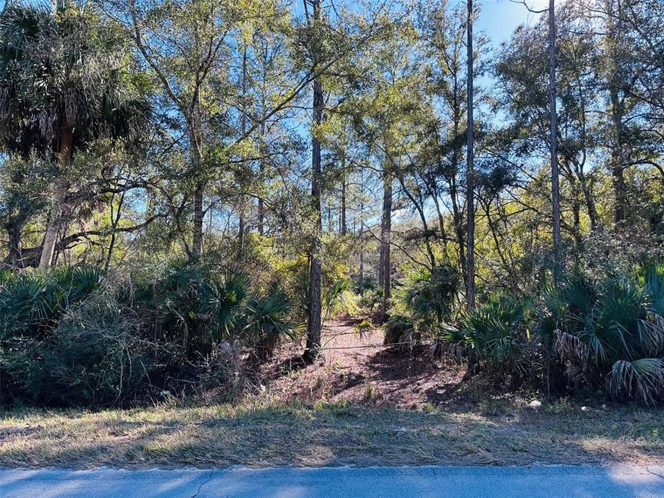 На продажу: $125,000 (10.00 acres)