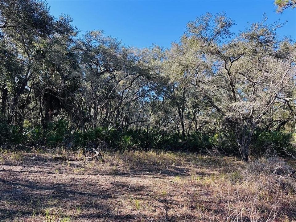 На продажу: $125,000 (10.00 acres)