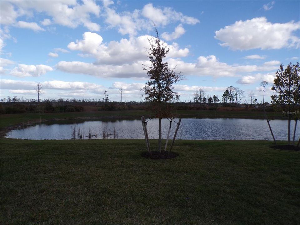 В аренду: $2,300 (4 спален, 3 ванн, 2032 Квадратных фут)