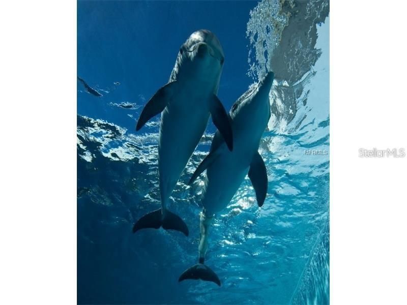 En Renta: $2,995 (2 camas, 2 baños, 1390 Pies cuadrados)