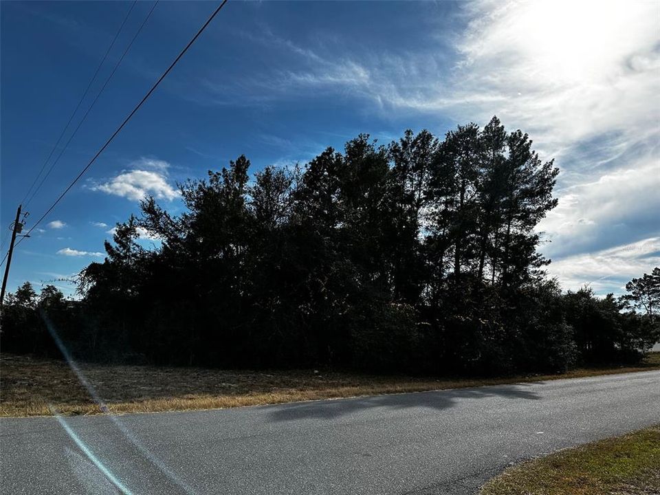 For Sale: $50,000 (0.26 acres)