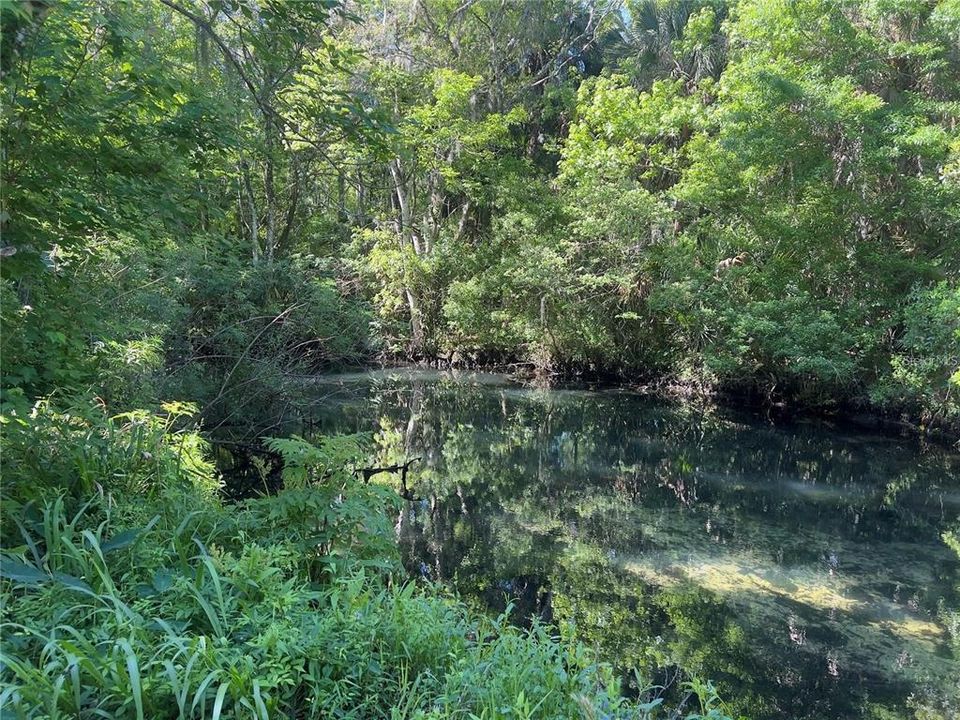 待售: $165,000 (0.17 acres)