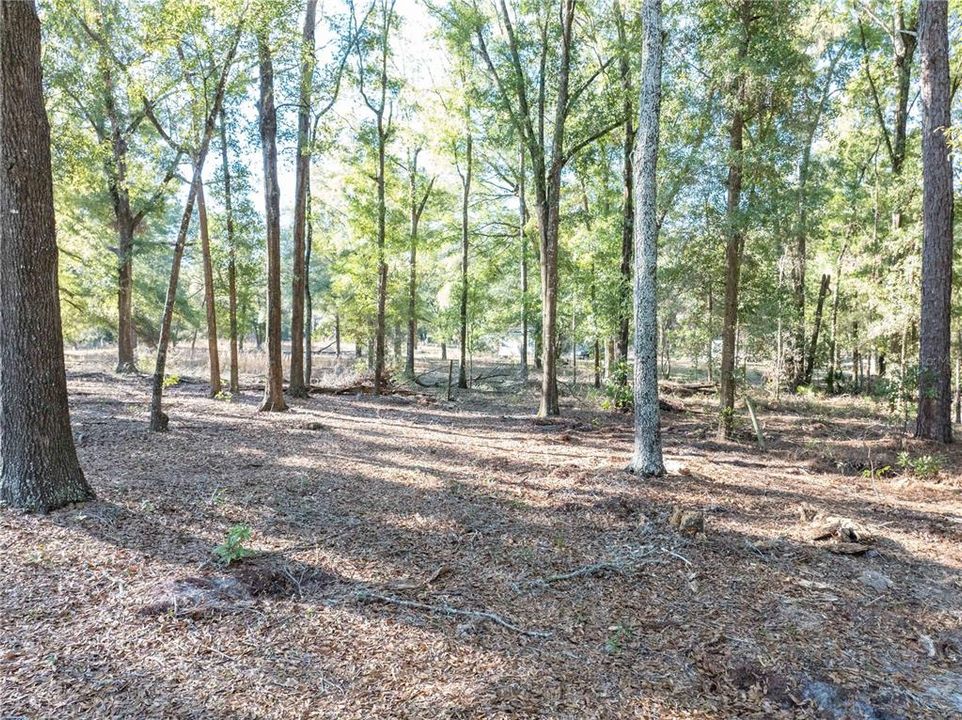 На продажу: $225,000 (3 спален, 2 ванн, 1248 Квадратных фут)