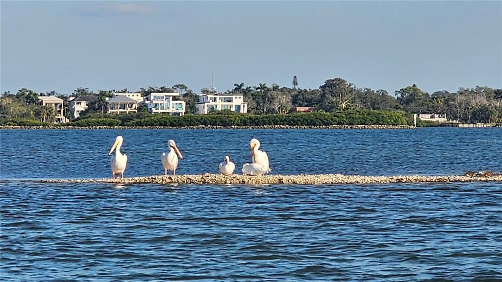 待售: $995,000 (2 贝兹, 2 浴室, 1100 平方英尺)