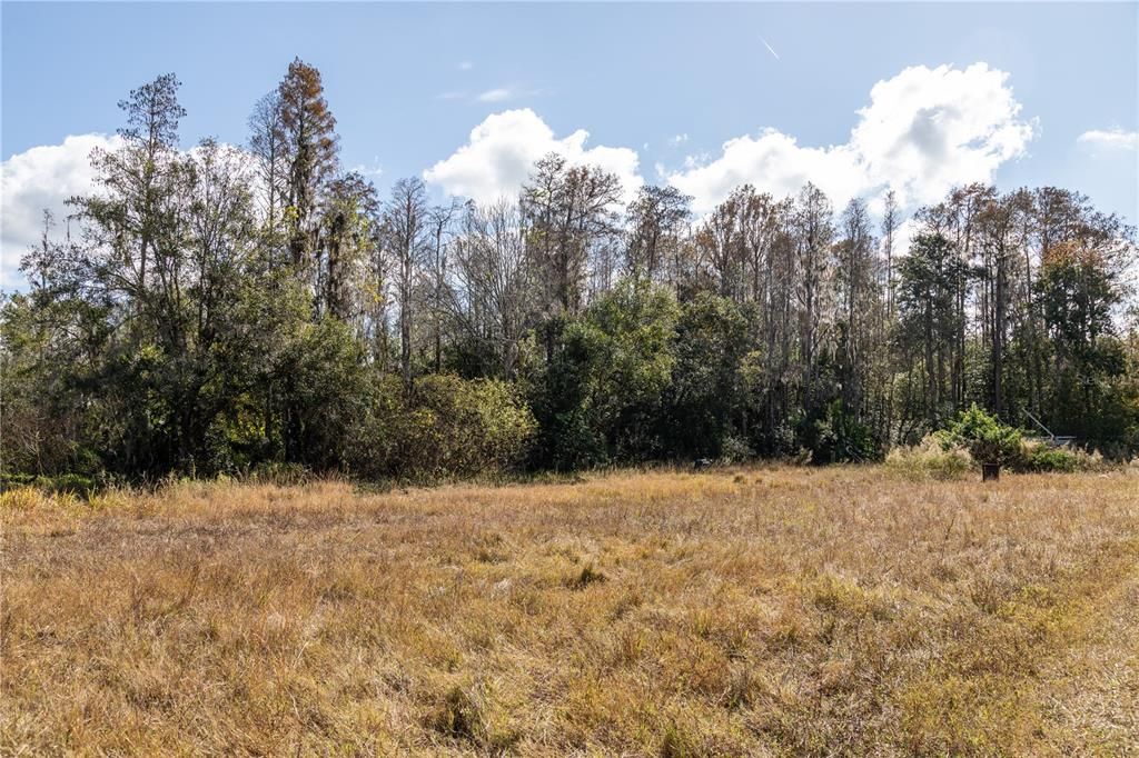 For Sale: $3,499,999 (15.00 acres)