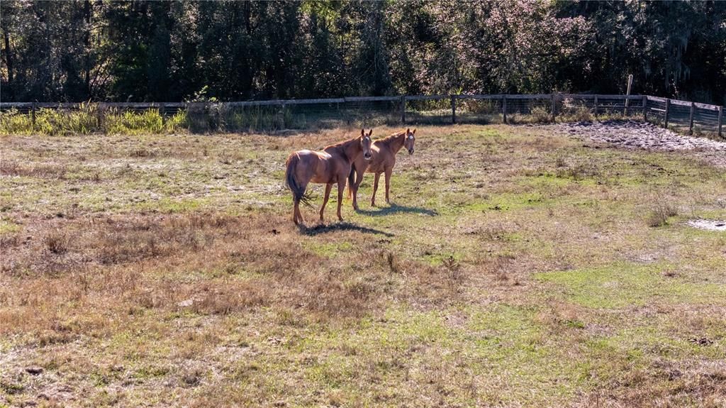 For Sale: $3,499,999 (15.00 acres)