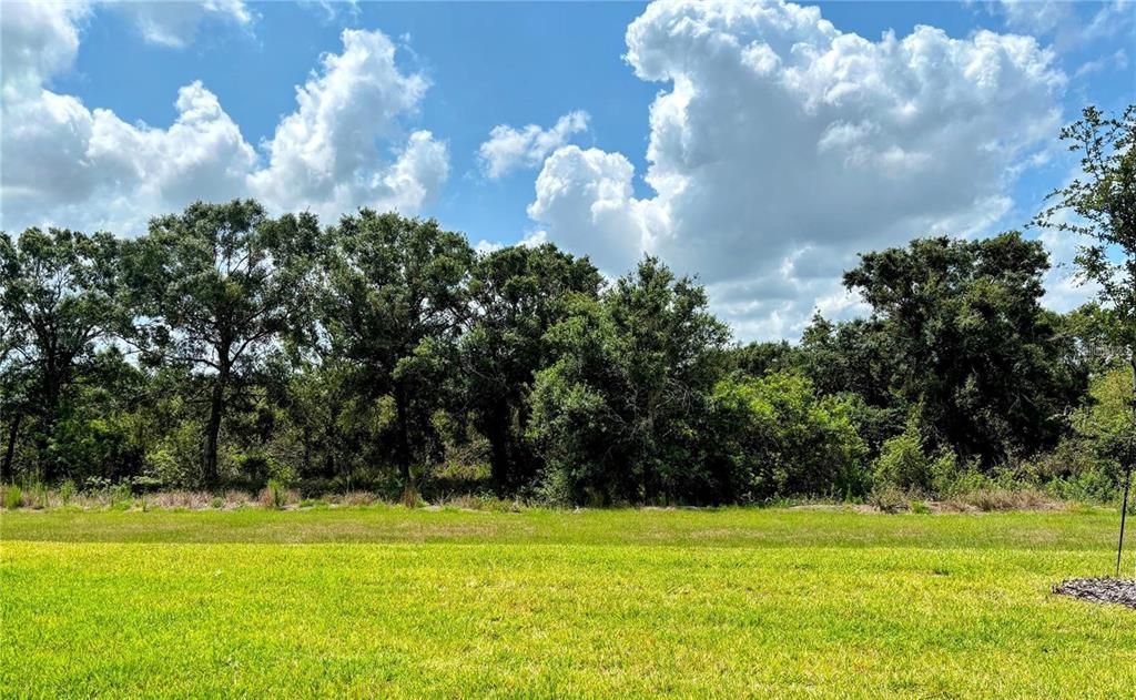 出租: $3,150 (4 贝兹, 3 浴室, 2537 平方英尺)