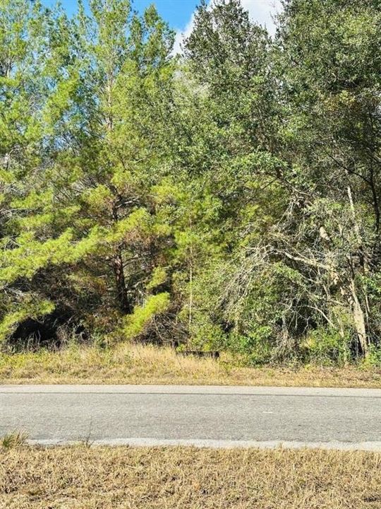 待售: $21,500 (0.26 acres)