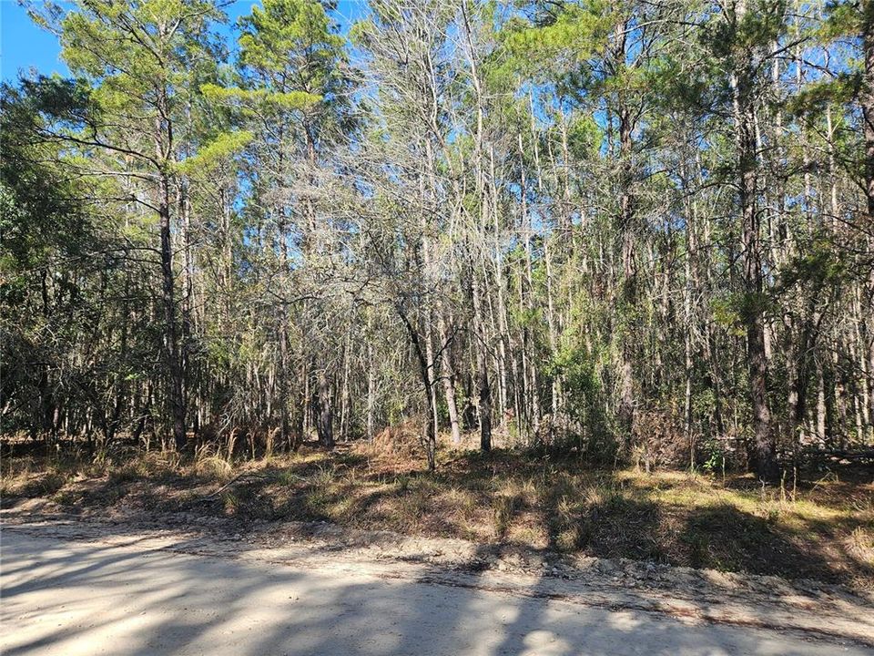 For Sale: $67,000 (2.50 acres)