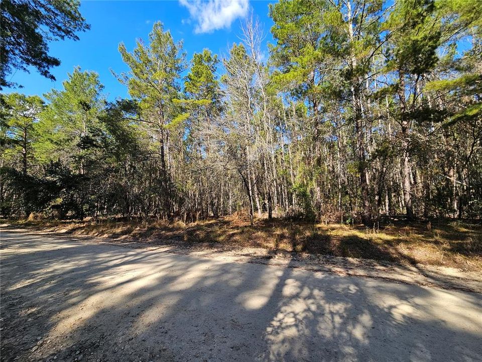 For Sale: $67,000 (2.50 acres)