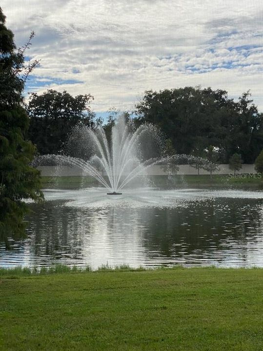 出租: $2,300 (3 贝兹, 2 浴室, 1758 平方英尺)