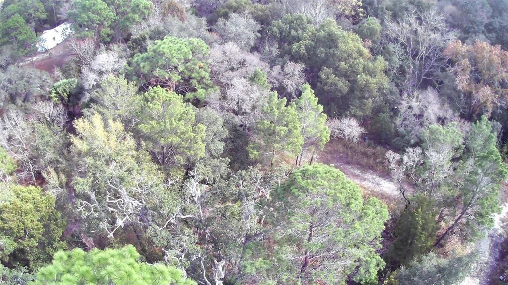 For Sale: $99,000 (2.50 acres)