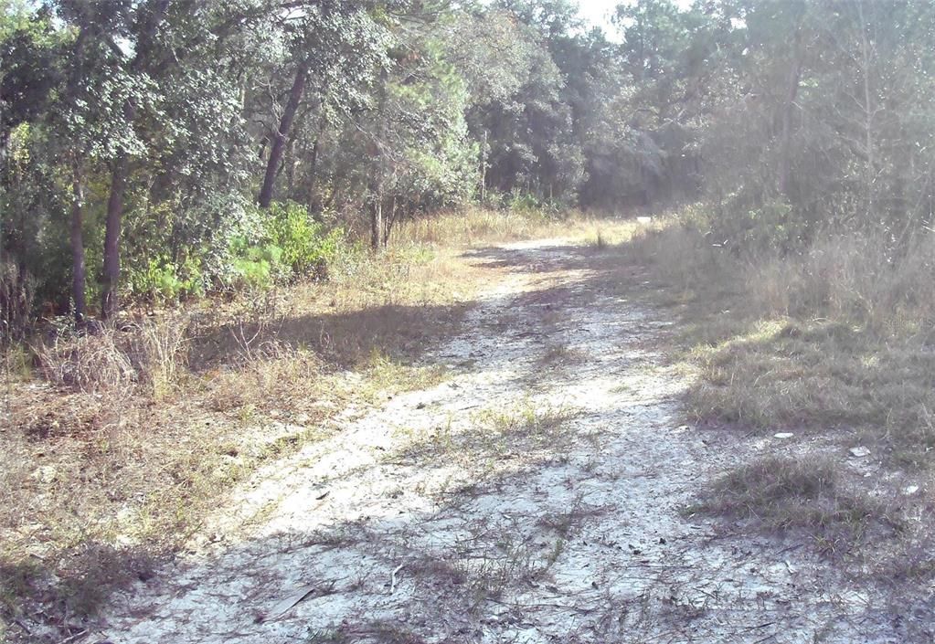 For Sale: $99,000 (2.50 acres)