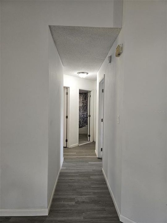 出租: $2,425 (3 贝兹, 2 浴室, 1373 平方英尺)