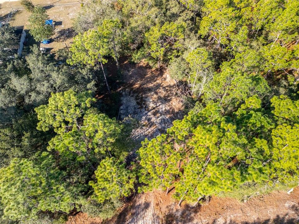 For Sale: $45,000 (0.23 acres)