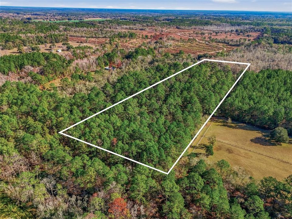 For Sale: $120,000 (7.96 acres)