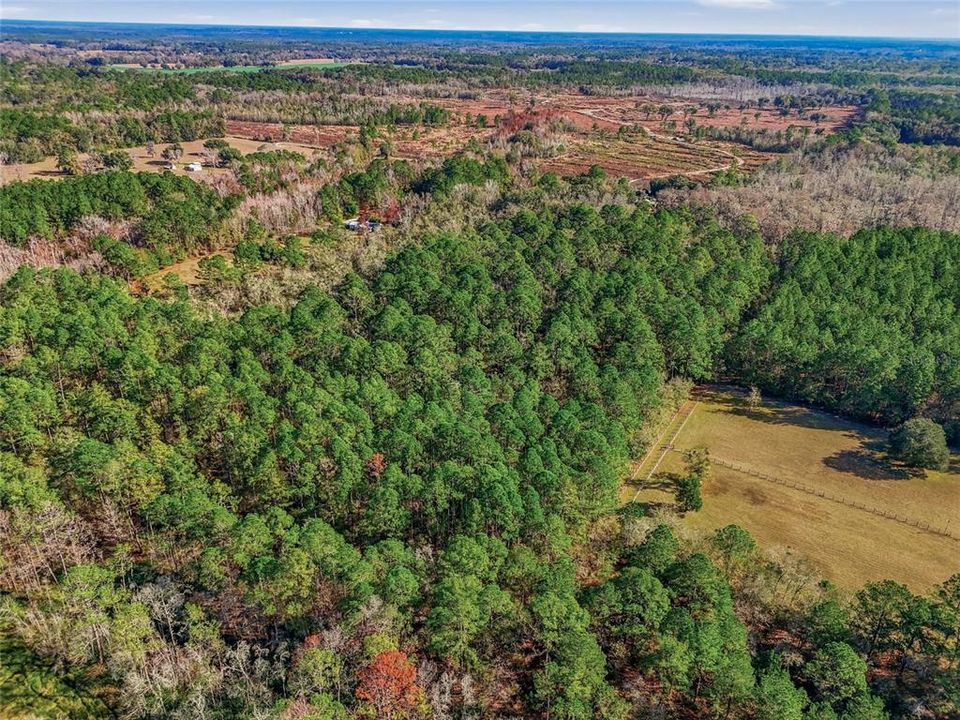 For Sale: $120,000 (7.96 acres)