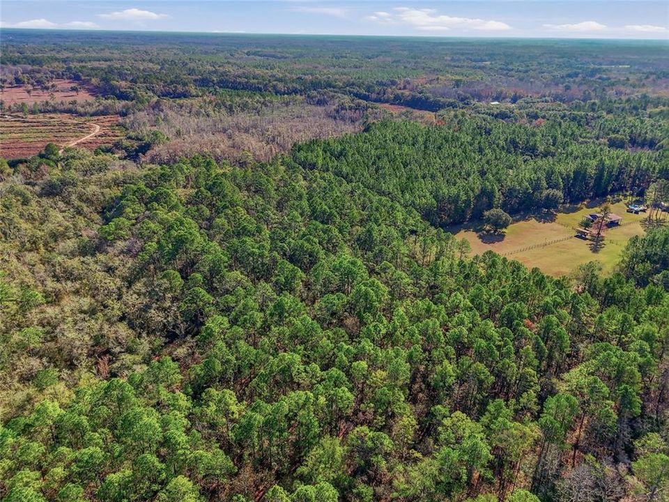 For Sale: $120,000 (7.96 acres)