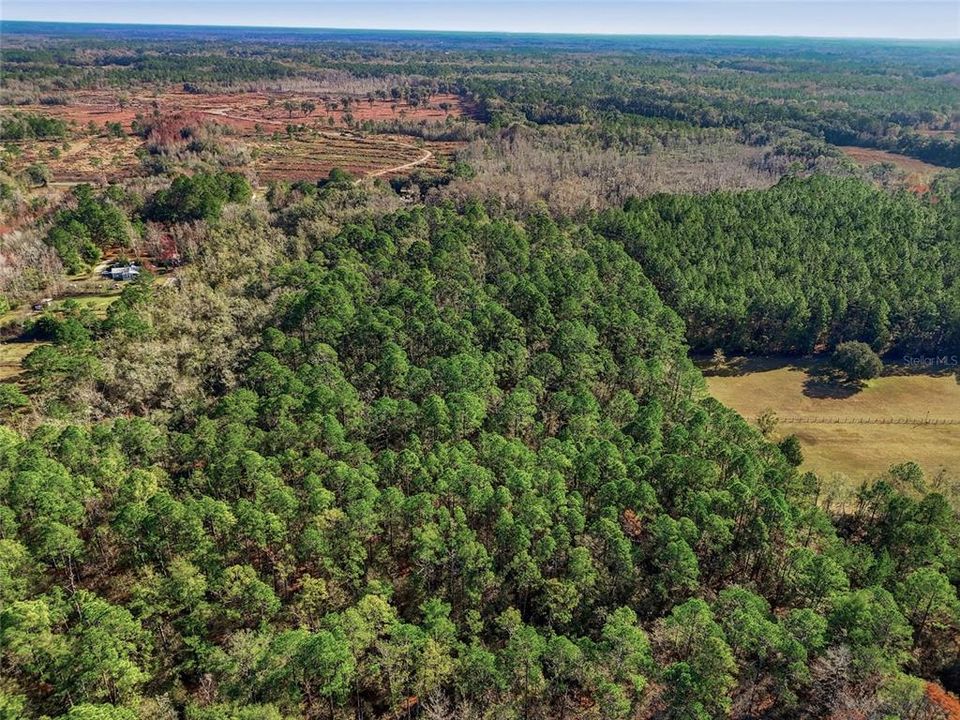 For Sale: $120,000 (7.96 acres)