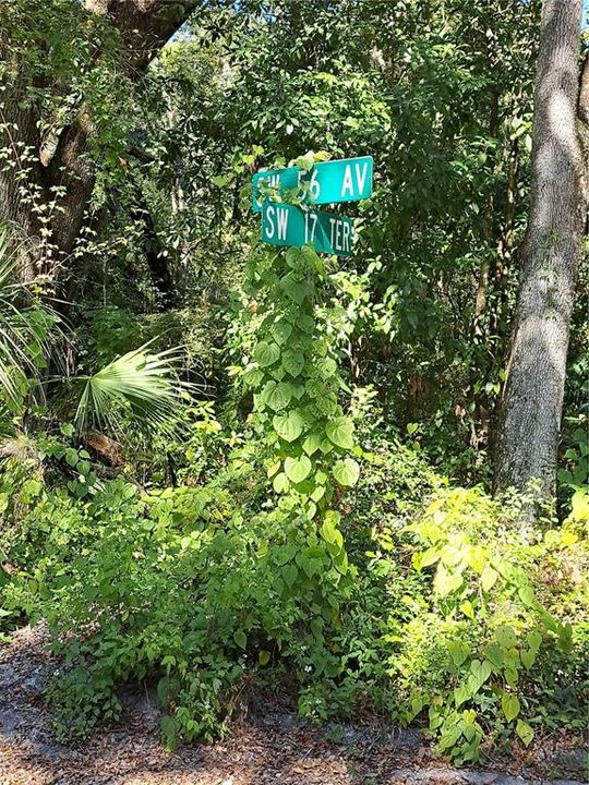 En Venta: $195,000 (3.00 acres)