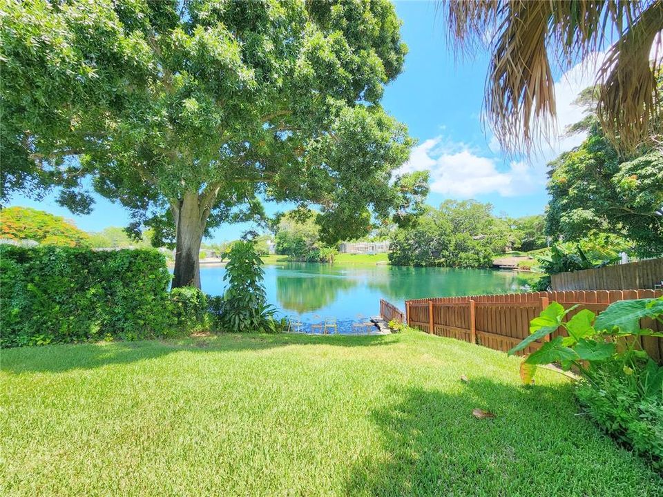 出租: $3,000 (3 贝兹, 2 浴室, 1468 平方英尺)