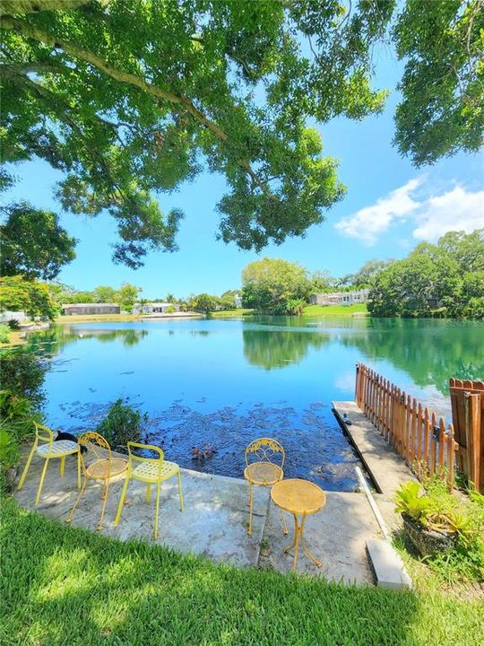 出租: $3,000 (3 贝兹, 2 浴室, 1468 平方英尺)