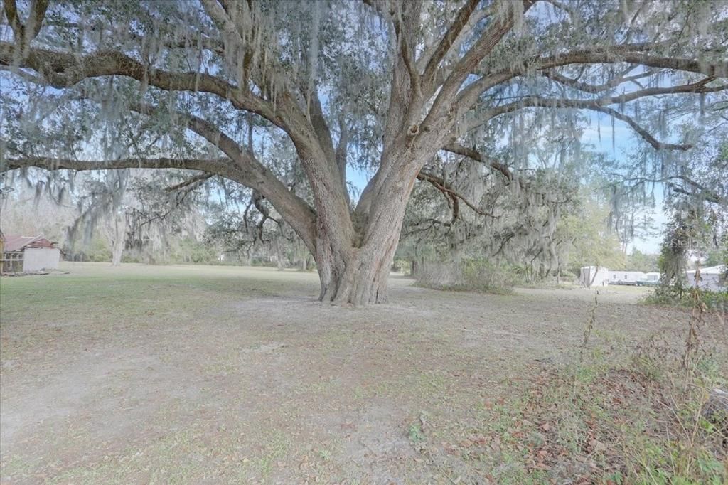 For Sale: $75,000 (1.03 acres)