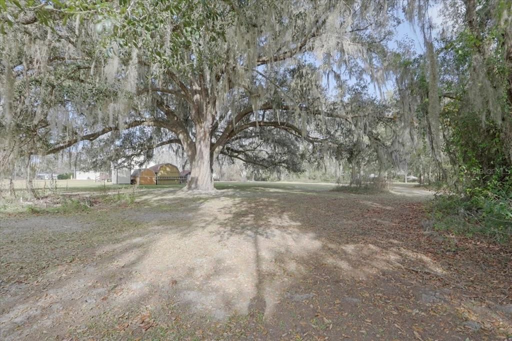 For Sale: $75,000 (1.03 acres)