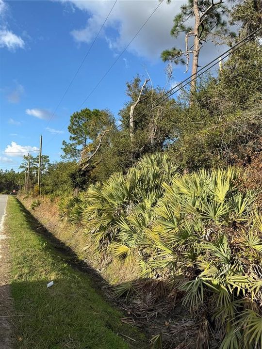 For Sale: $74,900 (0.42 acres)