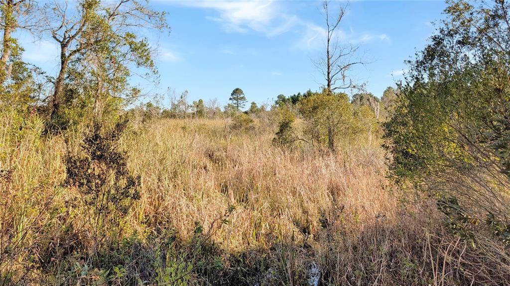 На продажу: $197,500 (9.11 acres)