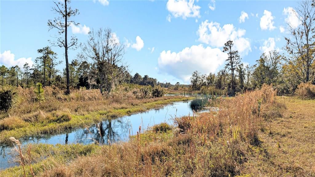 На продажу: $197,500 (9.11 acres)