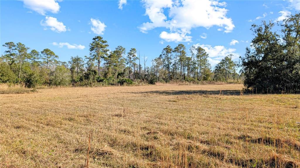 На продажу: $197,500 (9.11 acres)