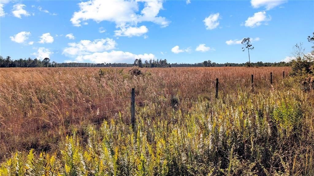 На продажу: $197,500 (9.11 acres)