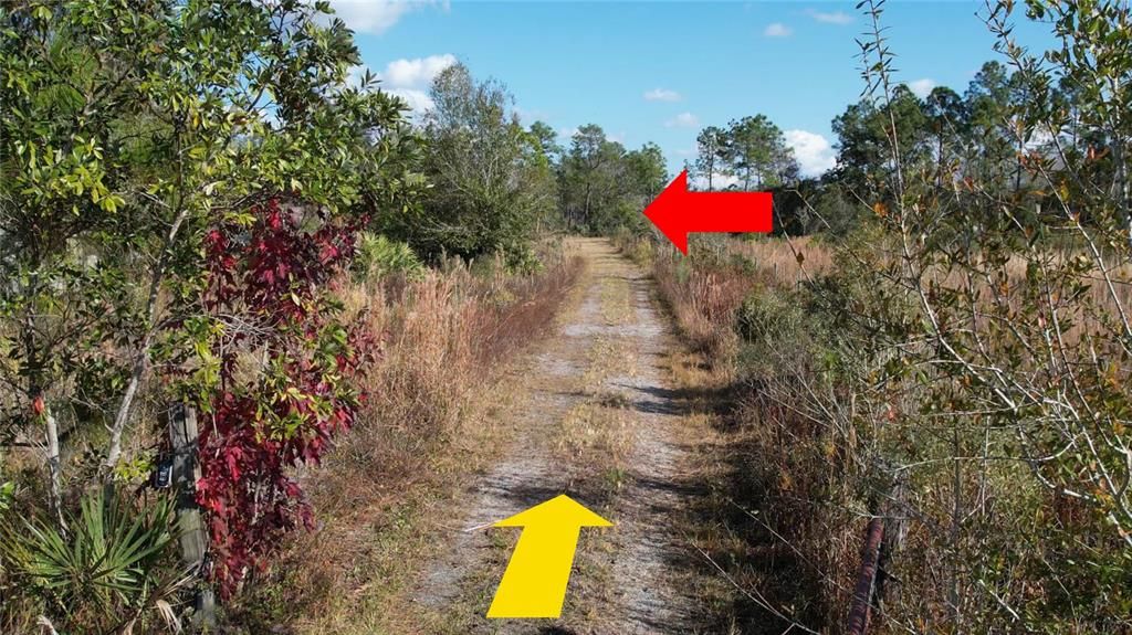 На продажу: $197,500 (9.11 acres)