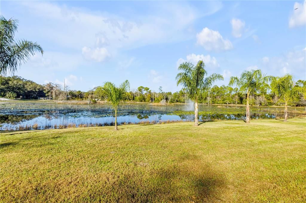 For Sale: $1,399,000 (6 beds, 4 baths, 3685 Square Feet)