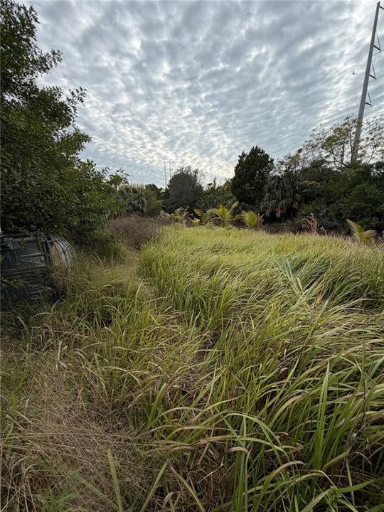 На продажу: $34,900 (3.64 acres)