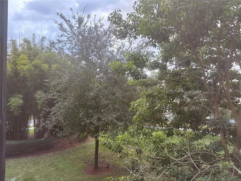 На продажу: $235,000 (2 спален, 2 ванн, 1265 Квадратных фут)