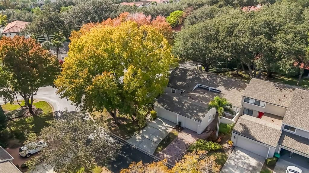 For Sale: $499,900 (3 beds, 2 baths, 1644 Square Feet)