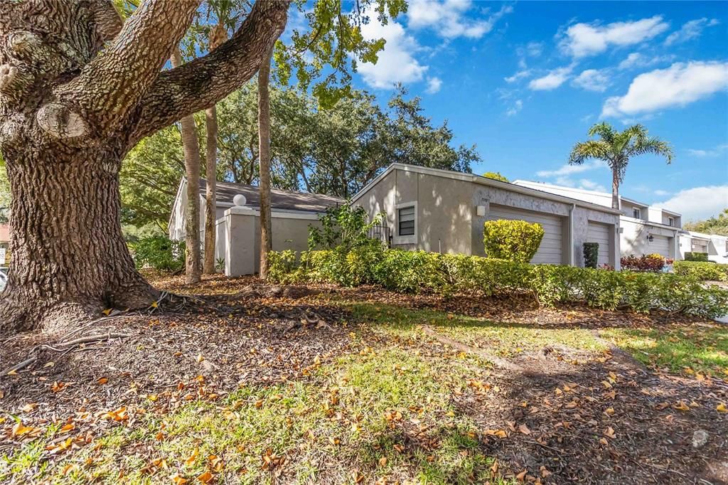 For Sale: $499,900 (3 beds, 2 baths, 1644 Square Feet)