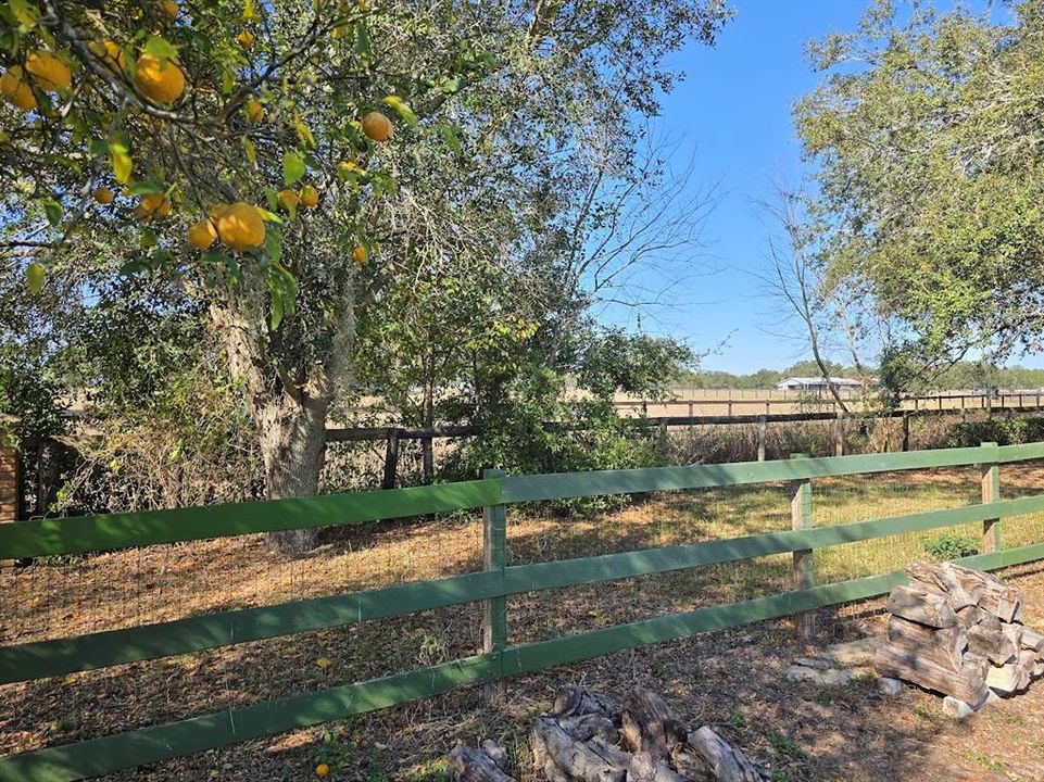 For Sale: $279,900 (4 beds, 2 baths, 1946 Square Feet)