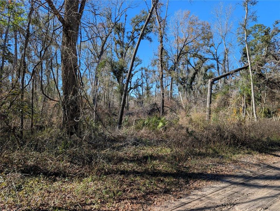 En Venta: $15,000 (1.44 acres)