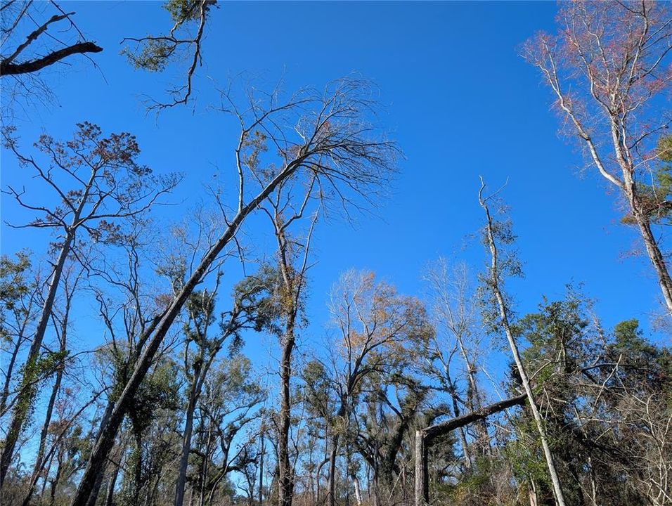 En Venta: $15,000 (1.44 acres)