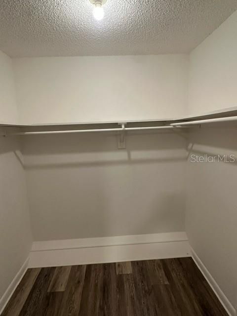 出租: $1,350 (2 贝兹, 2 浴室, 900 平方英尺)