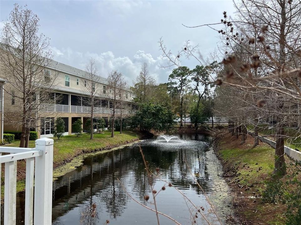 For Rent: $2,450 (3 beds, 2 baths, 1802 Square Feet)