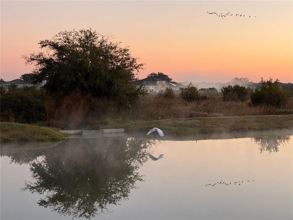 待售: $549,900 (4 贝兹, 3 浴室, 2528 平方英尺)