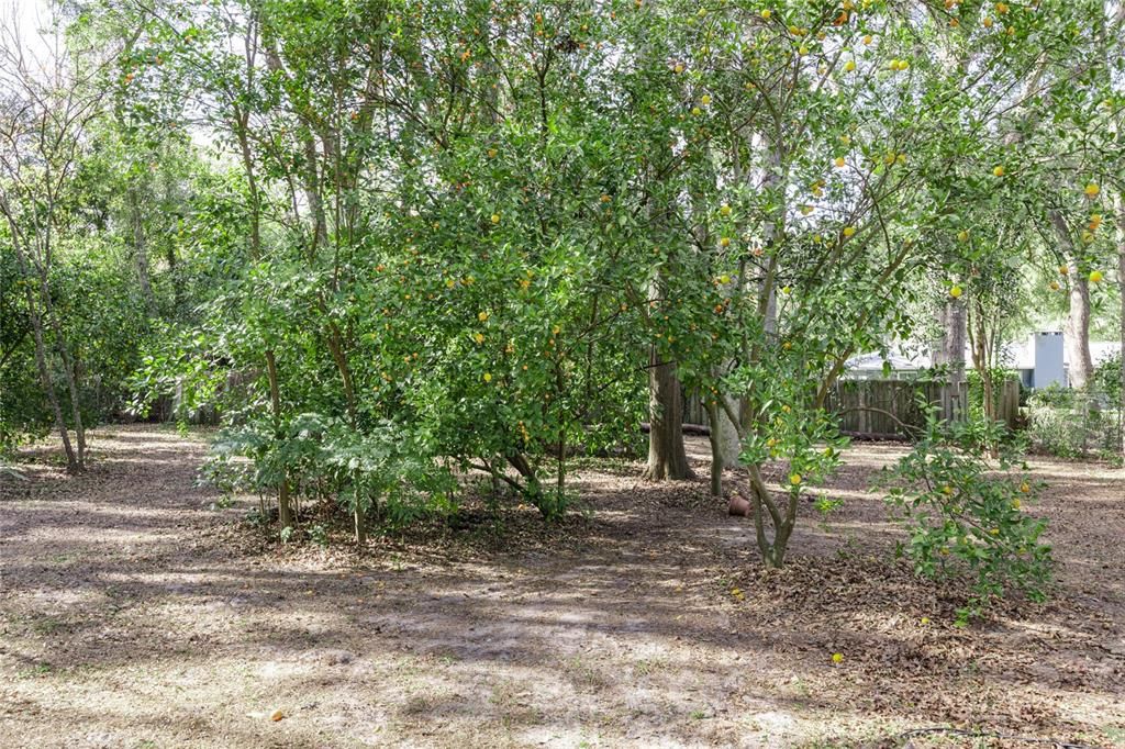 For Sale: $374,000 (4 beds, 2 baths, 1570 Square Feet)