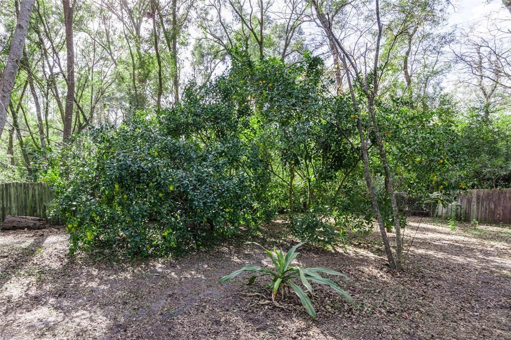 For Sale: $374,000 (4 beds, 2 baths, 1570 Square Feet)