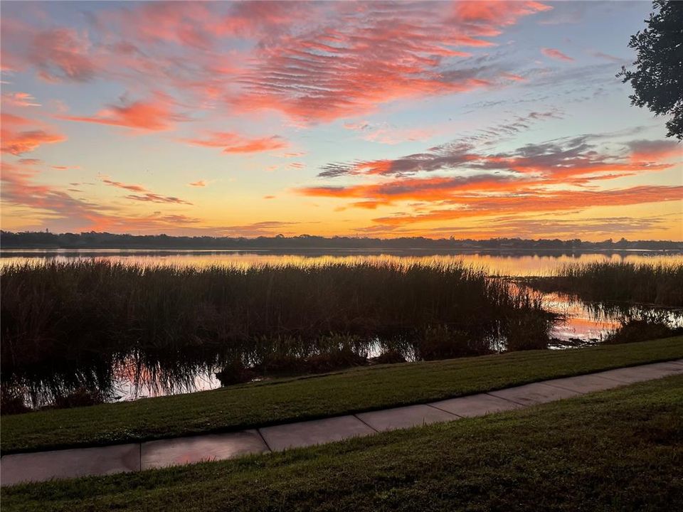 На продажу: $209,900 (2 спален, 2 ванн, 1018 Квадратных фут)