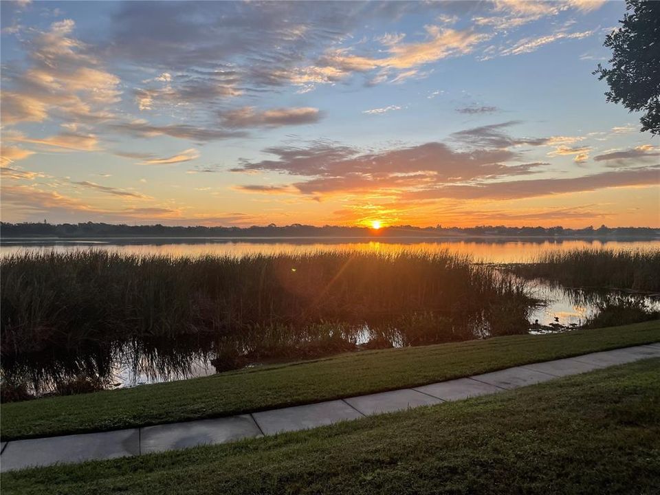 На продажу: $209,900 (2 спален, 2 ванн, 1018 Квадратных фут)